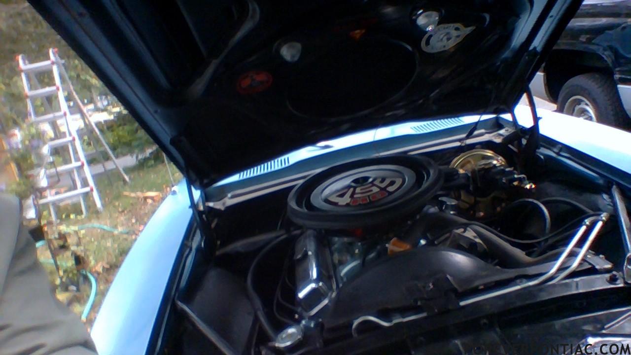 Mutt455