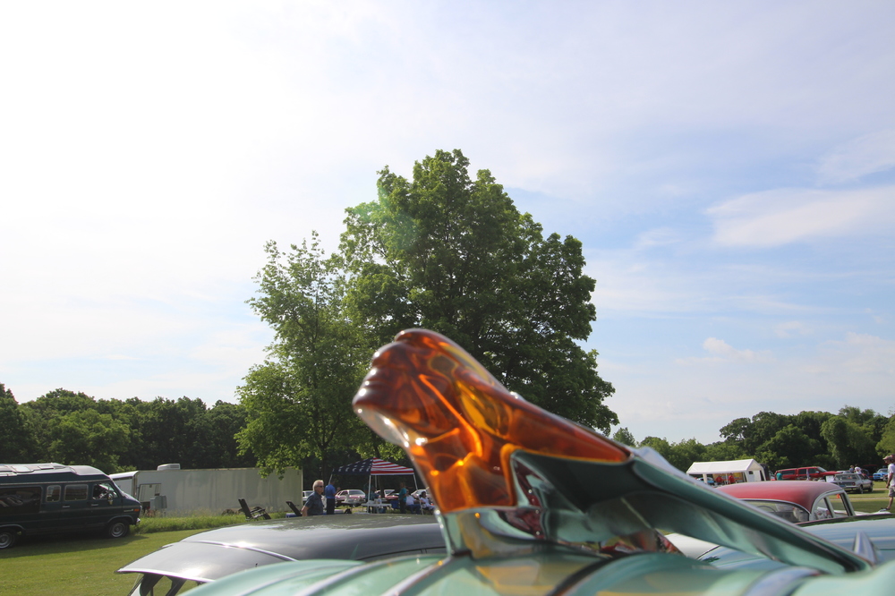 IMG_8914.JPG