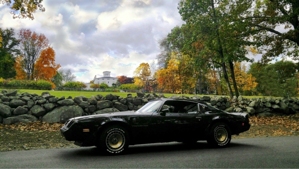 1981 trans am kimbark house oct 23 2016 rev.jpg