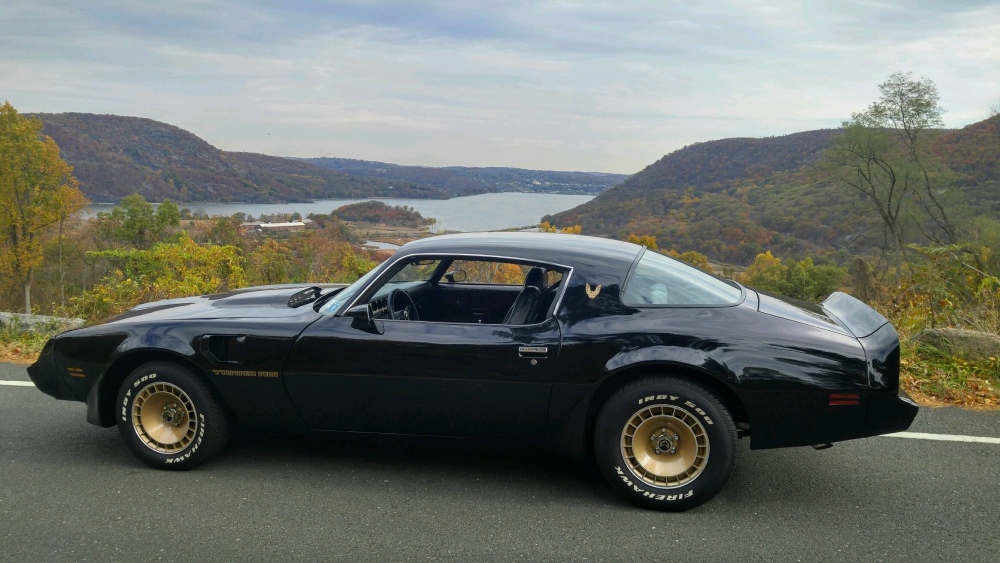 1981 trans am bear mountain hudson river iona island view oct 29 2016 NO TREE.jpg