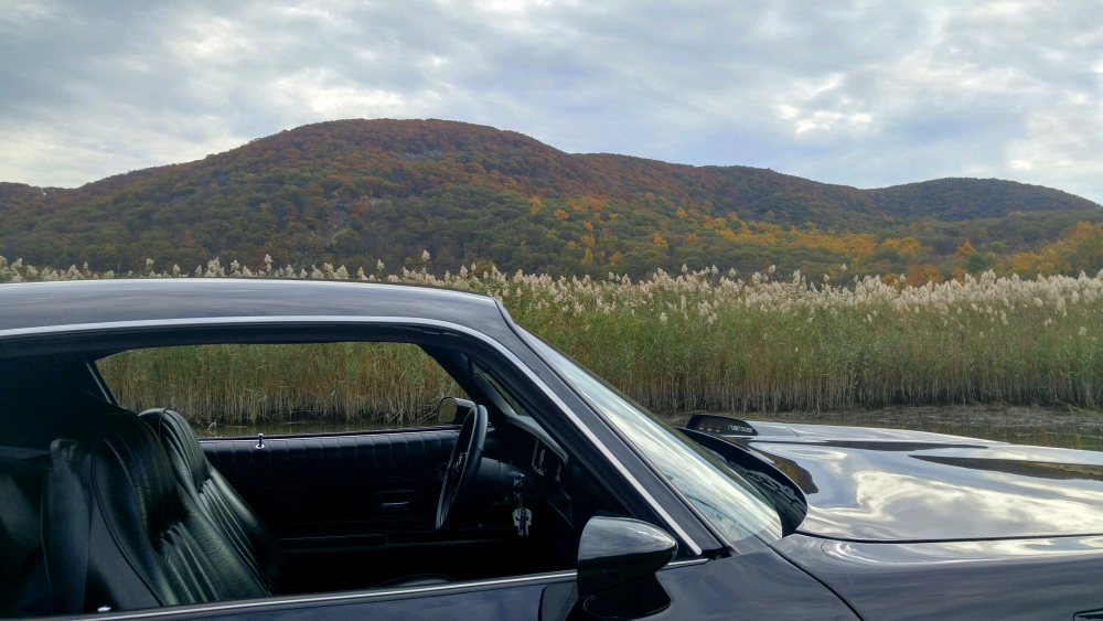 trans am iona island road bear mountain oct 29 2016.jpg