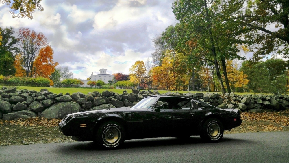 lightened 1981 trans am kimbark house oct 23 2016 rev.jpg