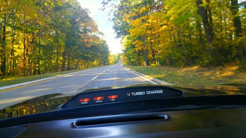 1981 trans am turbo hood lights oct 16 2016.jpg