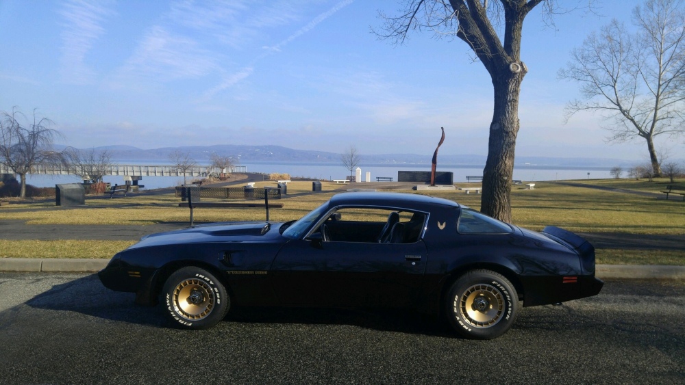 1981 trans am 911 memorial haverstraw jan 21 2017.jpg