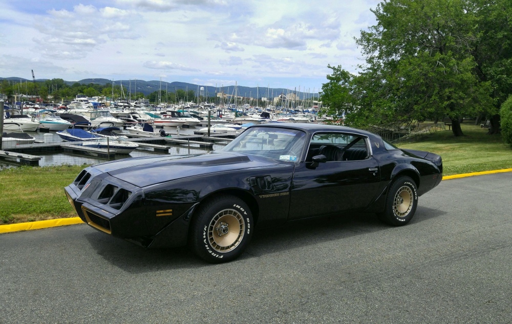 1981 Trans Am Haverstraw Marina July 2 2016.jpg