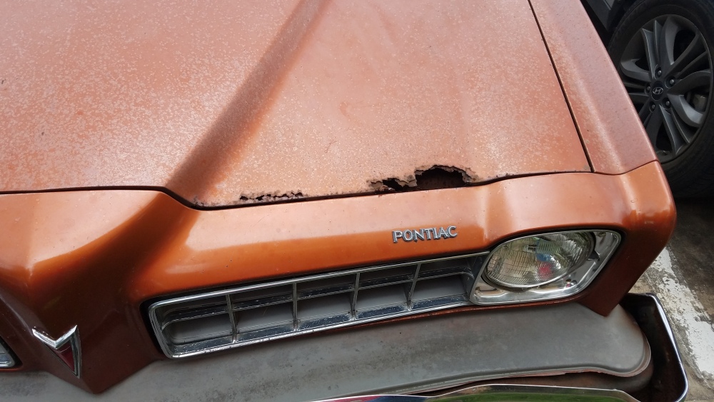 20170609_135754.thumb.jpg.de263aa0739bce21ecaa3b113cced769.jpg