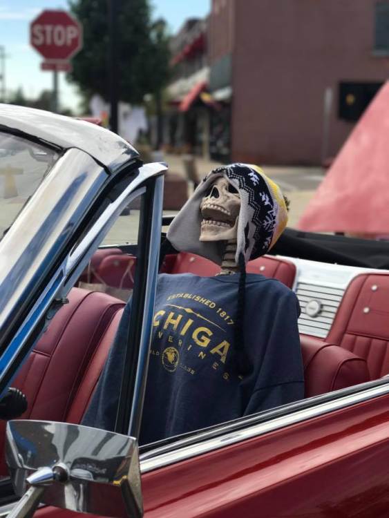 59f8b648e9d7c_Halloweencruise.thumb.jpg.2340ceda53b1416981ebbf31f70874dd.jpg