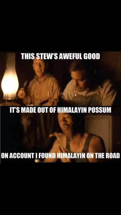 himalayin.jpg