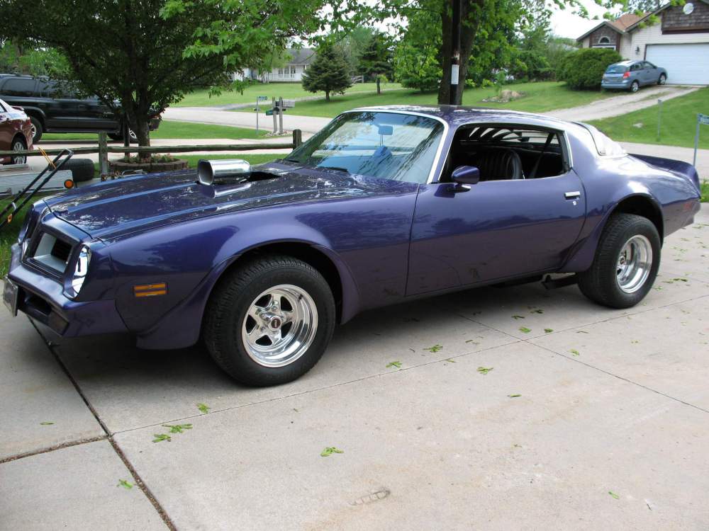 FIREBIRD 1.JPG