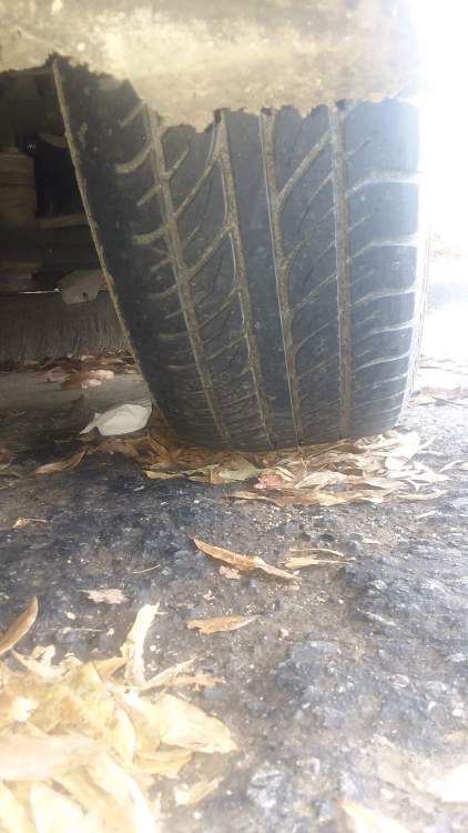 15417014626898072221442034943571.jpg