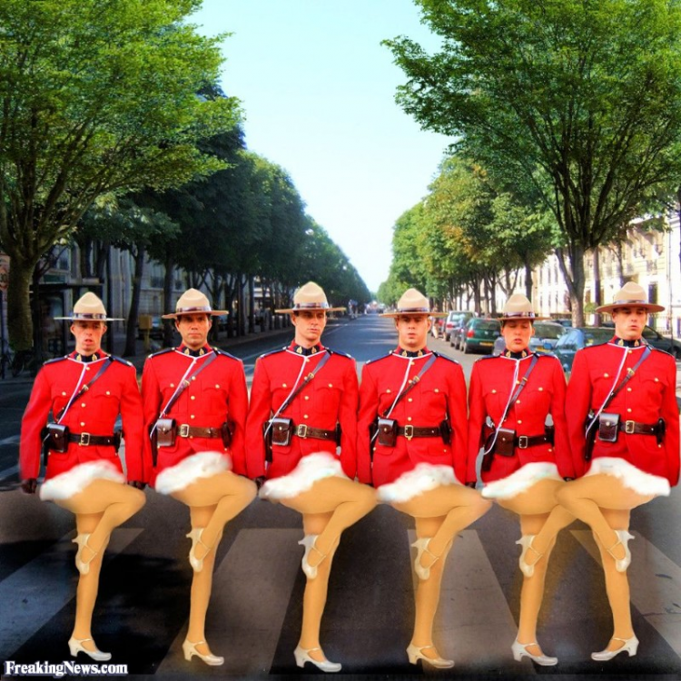 image.thumb.png.3e66292211d5edaa6ee80485ce8879c0.png