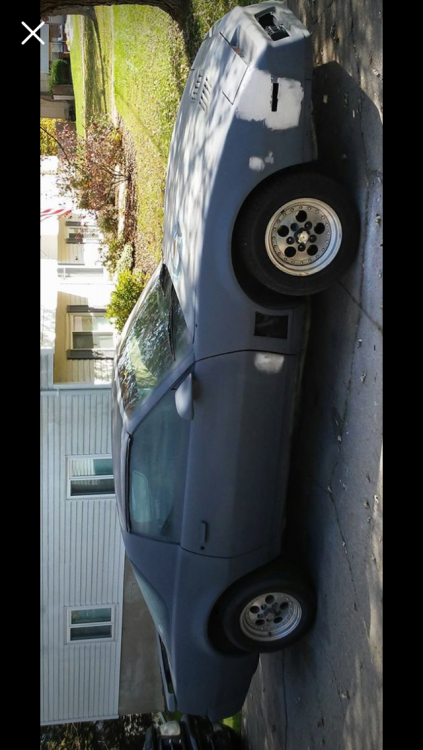 B0B57440-CA42-4B8F-8A96-B49A1BBF9A73.png