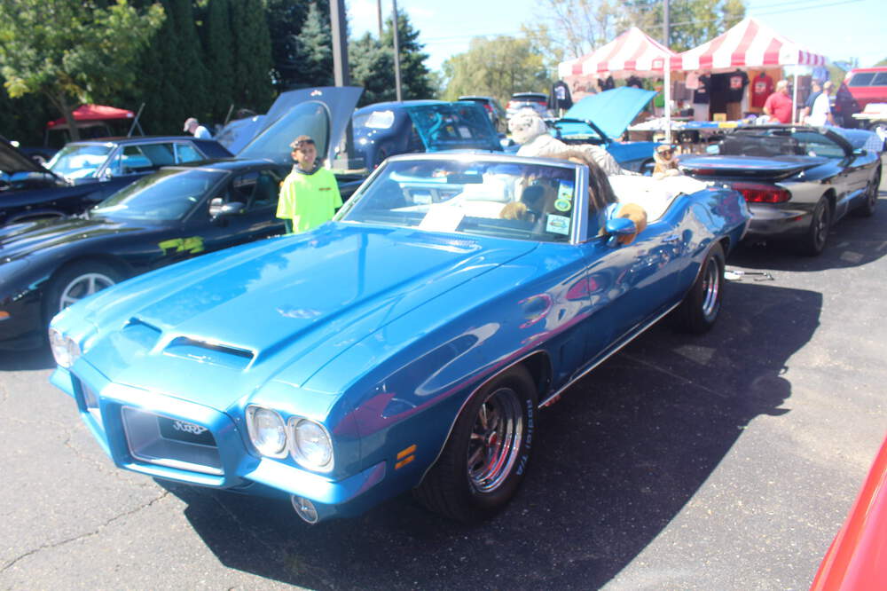 IMG_3005.thumb.JPG.61683a37a5710ede0419d5c4edc7b325.JPG