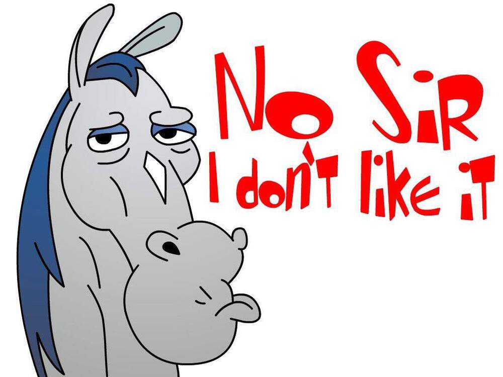 NO SIR.jpg