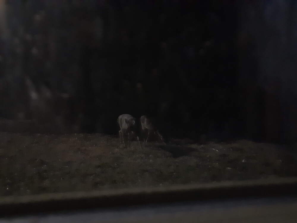 20191206_173639.jpg