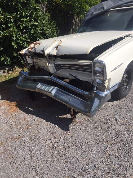 64 bumper.JPG