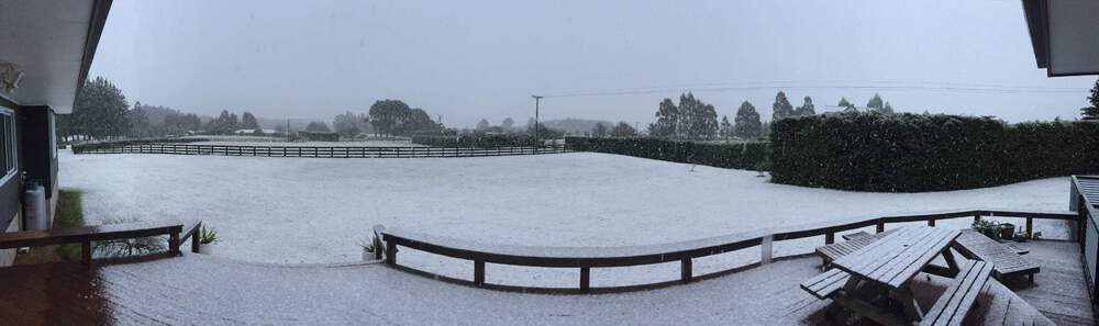 snow at home 1.JPG