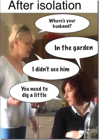 image.png.a56bc5231b2f486ba6383ddd6093458f.png