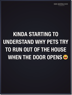 image.png.c1c1b946f402b2784d0b7216b6f51f10.png