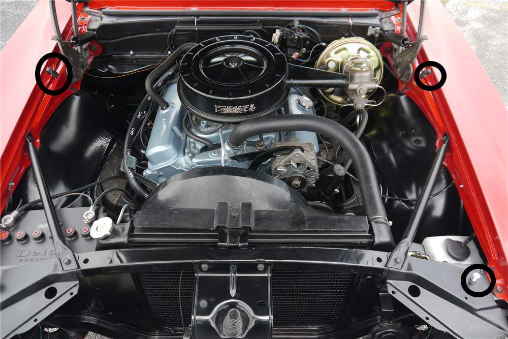 1050854588_EngineBay.jpg.6d582871baccdc274560651b5b6ed84f.jpg