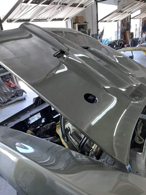 GTO hood installed.jpg