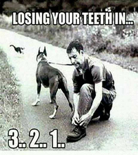 image.png.15137440709b2a9e7d7df89dffe24978.png