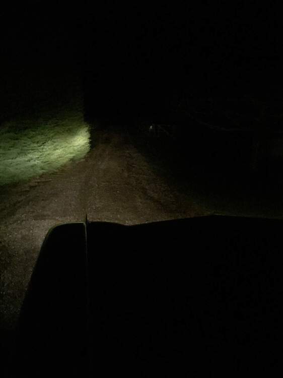 sealed beams low on drive.JPG