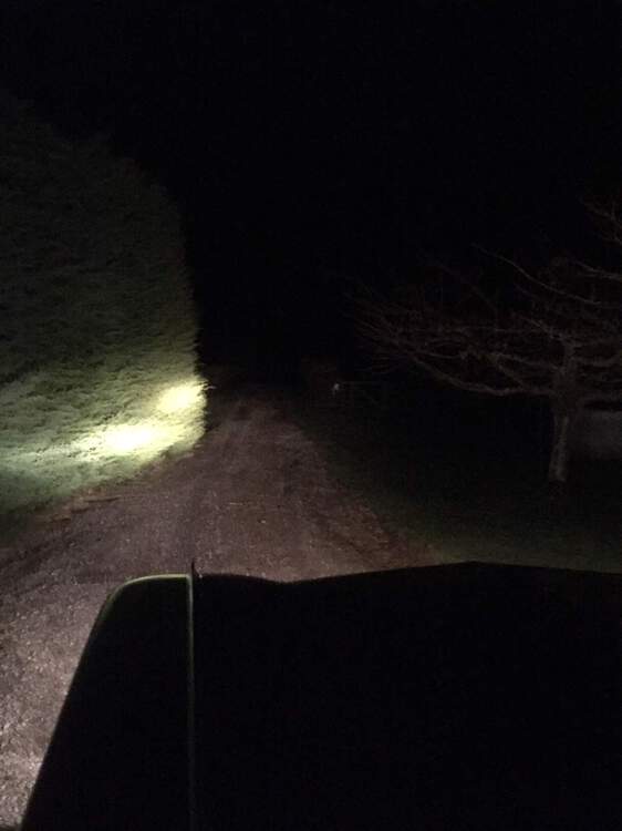 sealed beams high on drive.JPG