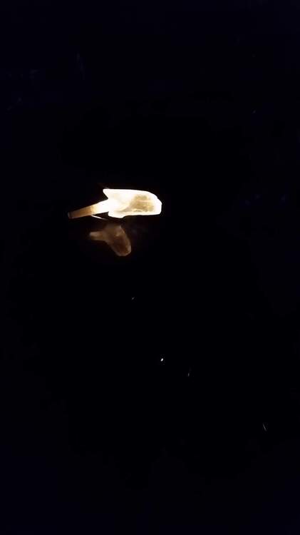20200603_063252.jpg