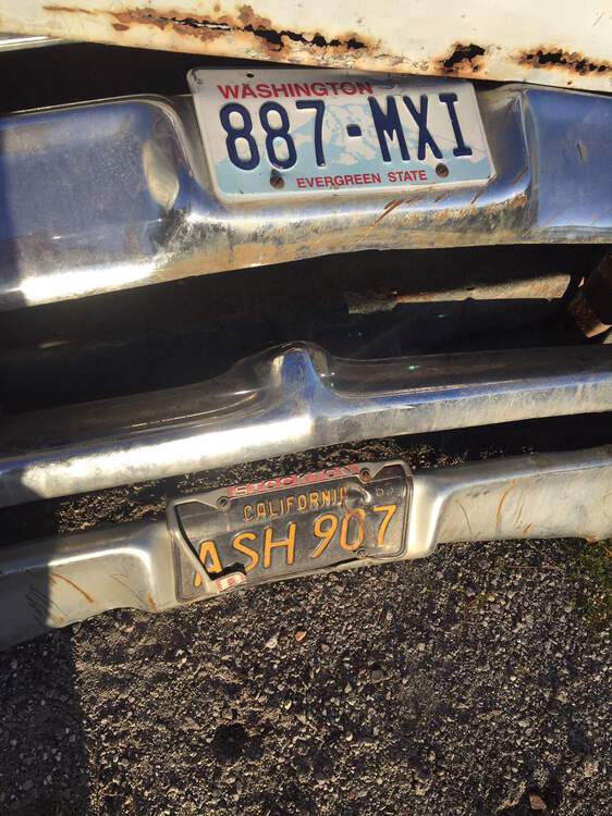 plates on bumpers.JPG