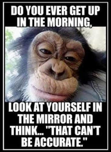 image.png.046e5e7963e61d348fdb342fa328c8ff.png