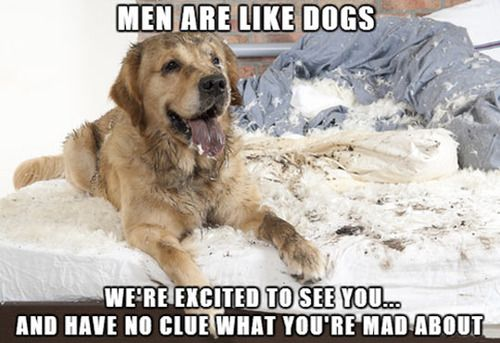image.png.5006b484754f434a3485e954460ef3e3.png