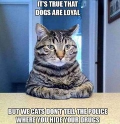 image.png.663bd1a517ea5c2741b64335bba60e49.png
