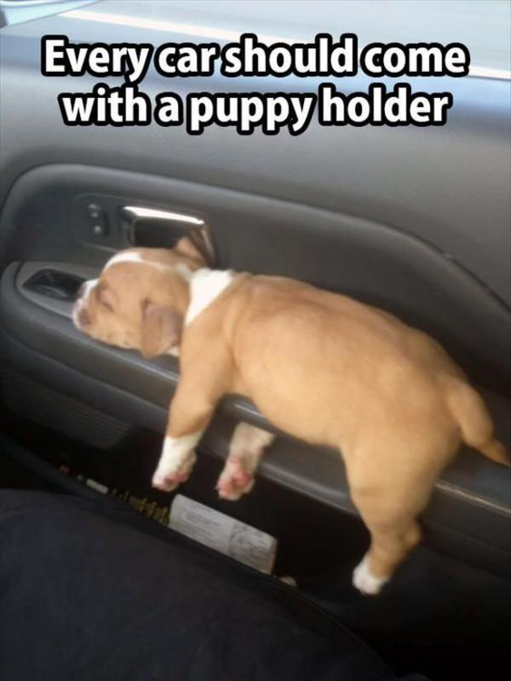 image.thumb.png.2c2cbfad2dfb5ee8cc17596ebadb7987.png