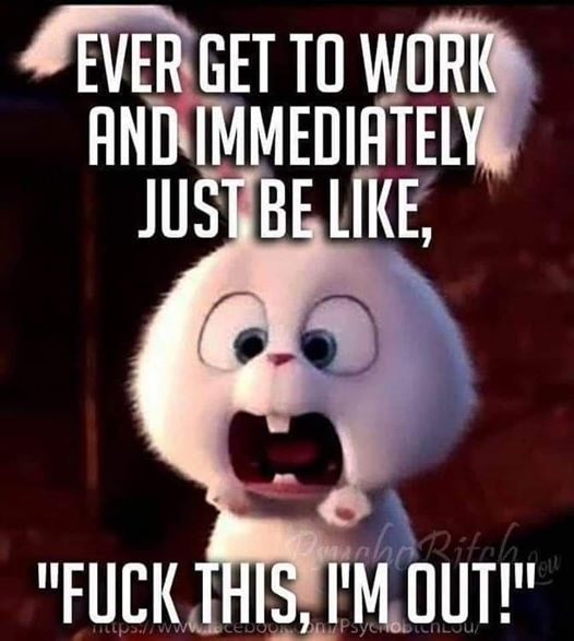 image.png.1f5f0bb9233b12b8bb18792eb32493e3.png