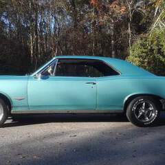 Jenny 66 GTO