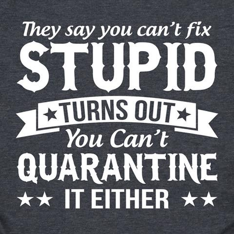 image.png.8b789492fba1025185071c6bdedcc79e.png