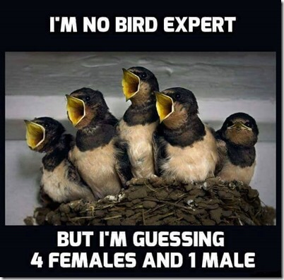 image.png.8f95a3d3efe1289777819f0d9050e3bd.png
