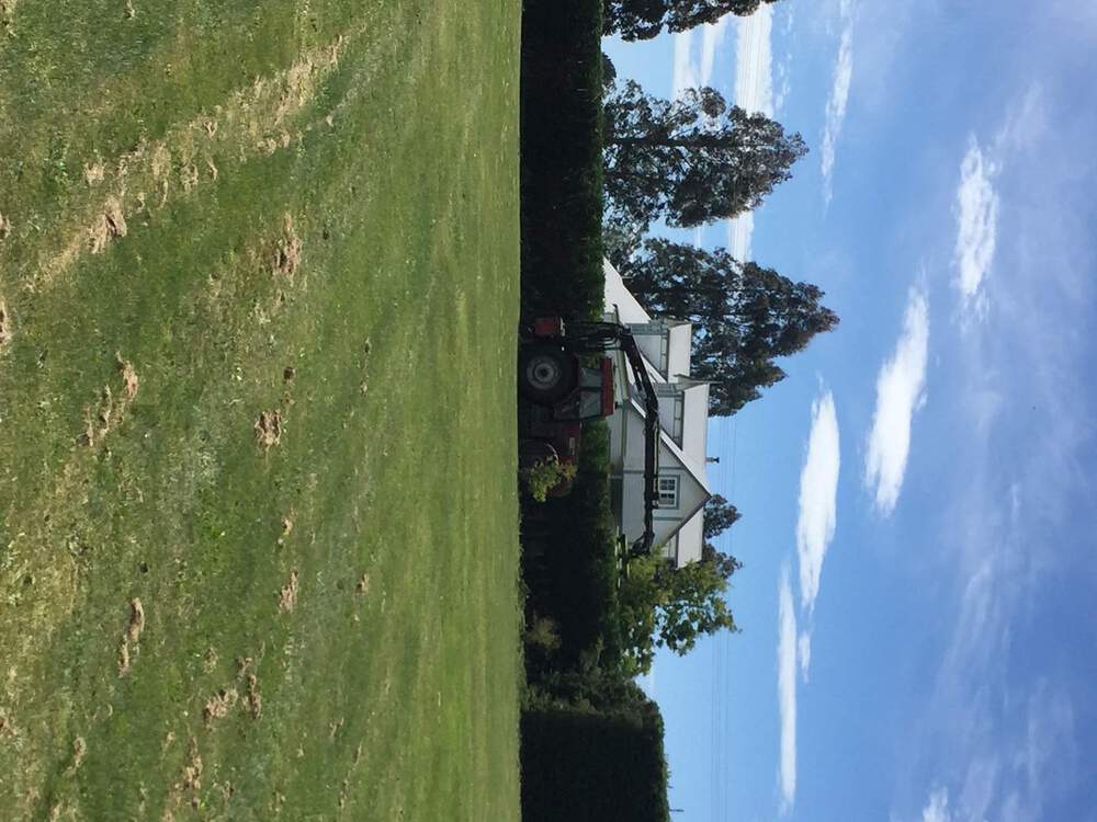 hedge machine 2.JPG