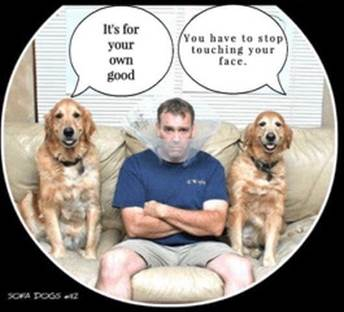 image.png.f9d7aa827cb752fe9685c8bd3eca3f14.png
