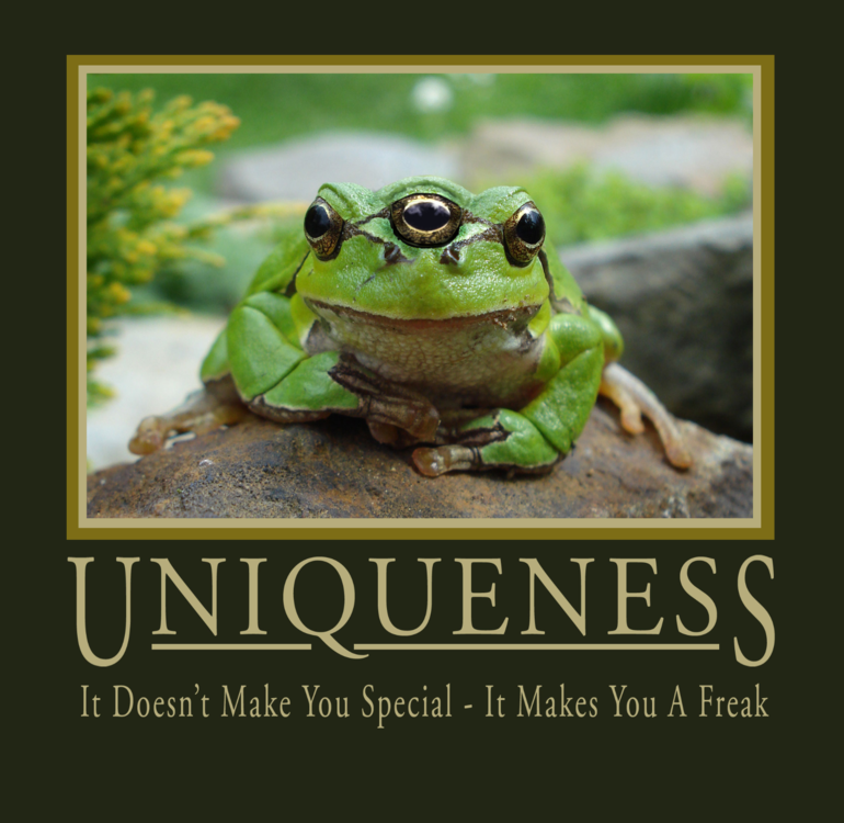 image.thumb.png.9cc6181aa3a84198b304897b10291220.png
