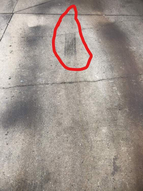 Tire_LI.jpg