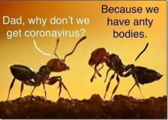 image.png.4f0fa62f099eed8456e6aa7b7c51b6e6.png