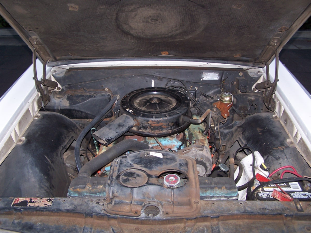 image.thumb.png.d8dd8eced55986ab009a600e77983590.png