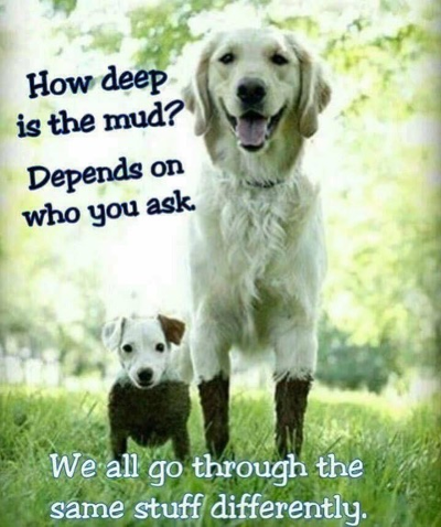 image.png.668c7dc25a817a32481aac477185c85a.png