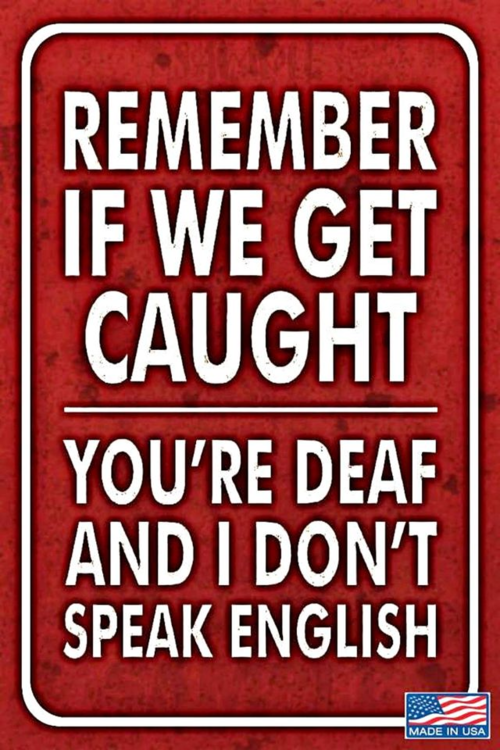 image.thumb.png.f04737a650bed75a1b1327ac25651cdf.png