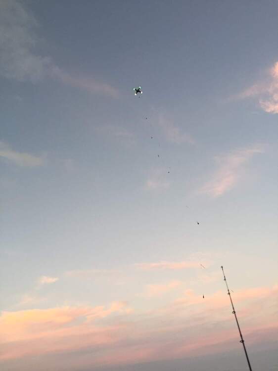 DF7371C2-1C77-45C3-806A-C2B7DDABC82B.jpeg