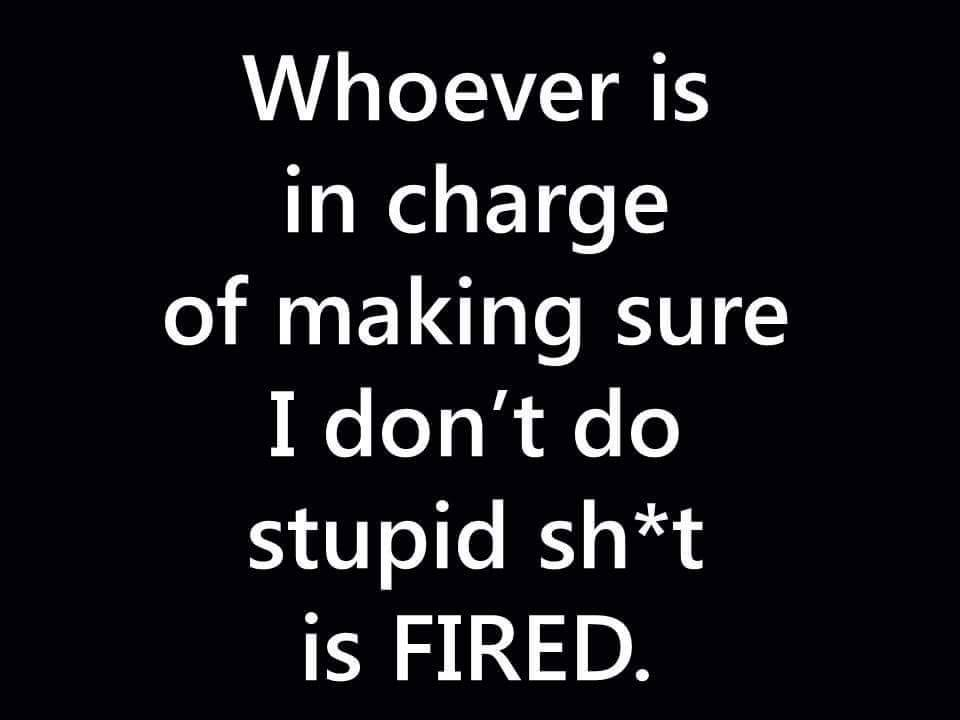 image.png.a313e517ab821faa5f4bcc8b2410b91e.png