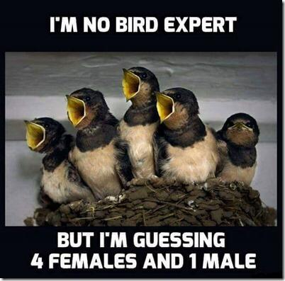 image.png.7c9f149f584f608d1f09bc61522b4e9c.png