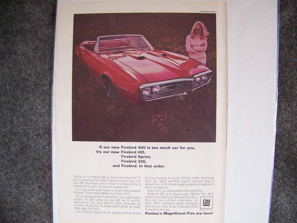 TA ads-- Benn -09 029.jpg